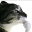 stupid hangout Discord Server Icon