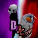 DxŁ