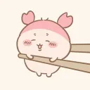 ₊˚ʚ  chii /kanii 🩰