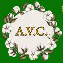 Alabama Volunteer Corps Discord Server Icon