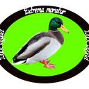 DuckSquad Discord Server Icon