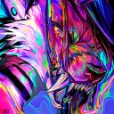 ☾✦ Penumbra ✦☽