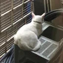 S0ulK1ng's shelter