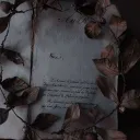 ✩°｡⋆★𝑨𝒖𝒓𝒆𝒂 𝒄𝒐𝒓𝒅𝒂 𝒂𝒄𝒂𝒅𝒆𝒎𝒚★✩°｡⋆