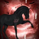 DRESSAGE TEACHING