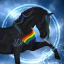 DRESSAGE TEACHING