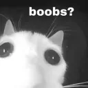 Lactation Station 🐮🍼💦 discord icon