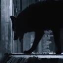 Moonlights Fright | TEEN WOLF Discord Server Icon