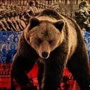 Russian Bear