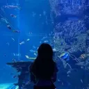 𝘢𝘲𝘶𝘢 𝘩𝘦𝘢𝘷𝘦𝘯