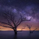 *༺Stars of Elysian༻*