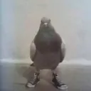 update coming soon? - @9192 Discord Server Icon