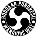 Budokan Puroresu