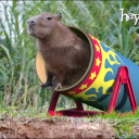 CAPYBARA Server Icon