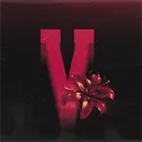 Vesora | #𝟏 𝐍𝐀