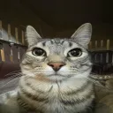 jimmyez.ddns.net