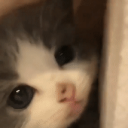 kiti icon