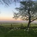 Confession Box Discord Server Icon