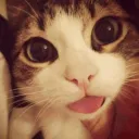 LOUNGE | Live, Laugh, Bleghh :P's icon