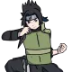 Naruto Project