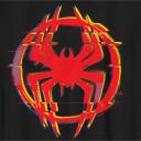 ﹆ : SPIDERVERSE ໑ ! Discord Server Icon