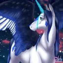 Hoofer Creative