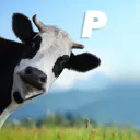 The Pasture™