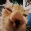 Ejieoe93o  Discord Server Icon