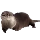 dersir’s Discord Server