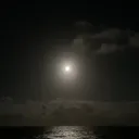 MoonLight! discord icon