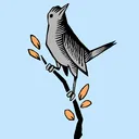 Catbird Soft