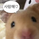퍼킹베이비