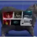 Cat Support (Ex-Puggy)