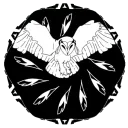 Light Owls