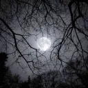 MOON GAZING DRESSAGE | OS