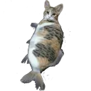 Bell Smell's stinkers