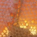 🐝 the hive 🐝 discord icon