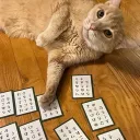Seattle Competitive Karuta Club