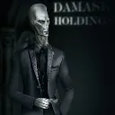 Damask Holdings