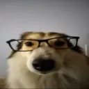 AHHHHHHH
