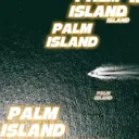 PALM ISLAND 🏝