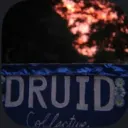 The Druid Collective