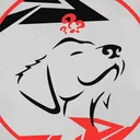 Lost Puppies