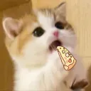 Mochi Café Discord Server Icon