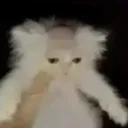 «.°• | chat, safespace, ocs, arttrades, rp, kinky shit | •°.» discord icon