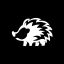 Spinnus Team