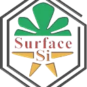 CHEMISTRY, PHYSICS AND TECHNOLOGY OF SURFACE
