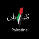Discovery icon for Palestine Discord server