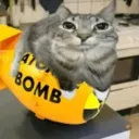 Roblox Accounts + Games