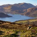 Cumbria Social